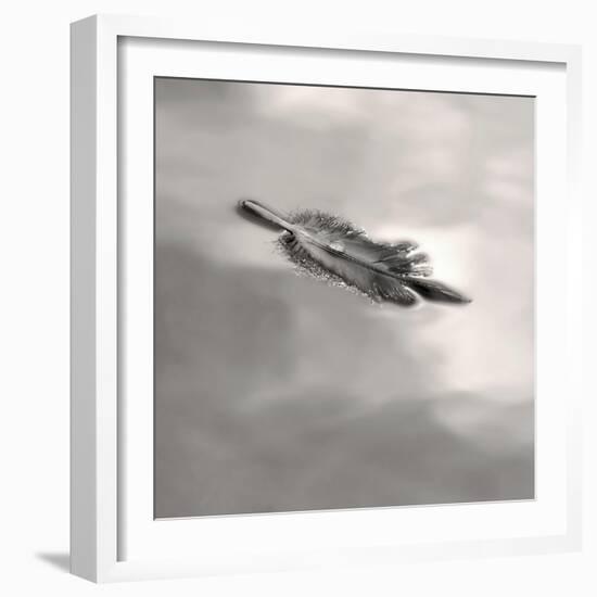 Feather on Liquid Sky-Nicholas Bell-Framed Photographic Print