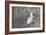 Feather on Rough Wood-Cora Niele-Framed Photographic Print