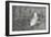 Feather on Rough Wood-Cora Niele-Framed Photographic Print