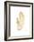 Feather on White I-Gwendolyn Babbitt-Framed Art Print