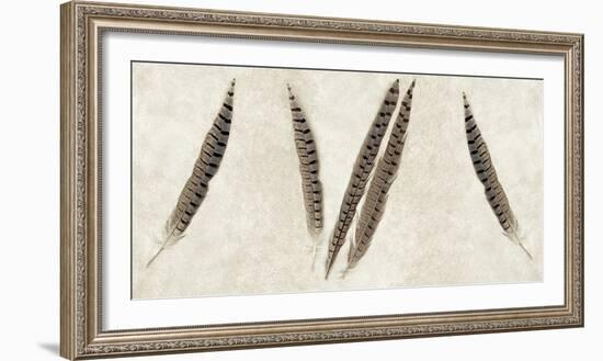 Feather Panel #2-Alan Blaustein-Framed Photographic Print