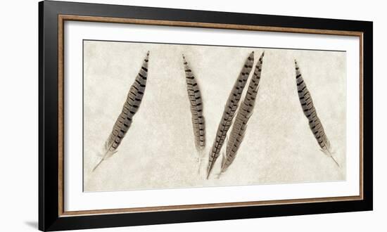 Feather Panel #2-Alan Blaustein-Framed Photographic Print