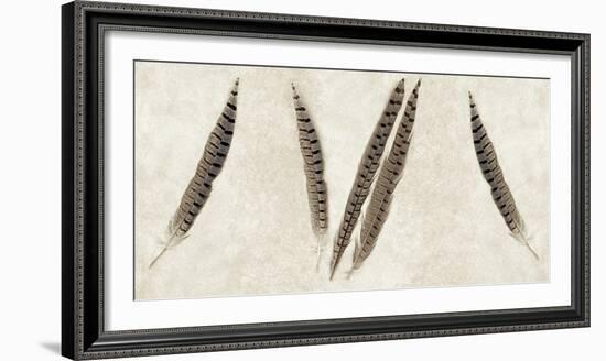 Feather Panel #2-Alan Blaustein-Framed Photographic Print