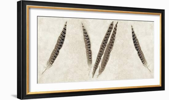 Feather Panel #2-Alan Blaustein-Framed Photographic Print