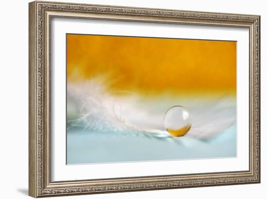 Feather Pearl-Heidi Westum-Framed Photographic Print