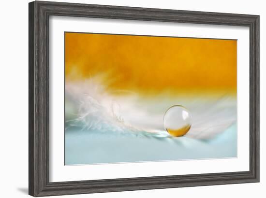 Feather Pearl-Heidi Westum-Framed Photographic Print