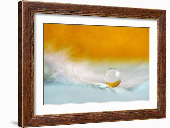 Feather Pearl-Heidi Westum-Framed Photographic Print