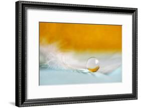 Feather Pearl-Heidi Westum-Framed Photographic Print