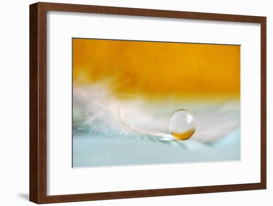 Feather Pearl-Heidi Westum-Framed Photographic Print