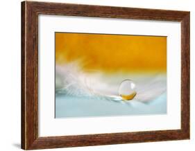 Feather Pearl-Heidi Westum-Framed Photographic Print