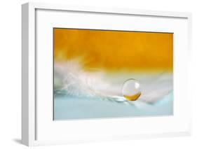 Feather Pearl-Heidi Westum-Framed Photographic Print