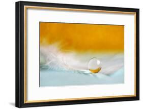 Feather Pearl-Heidi Westum-Framed Photographic Print
