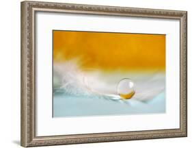 Feather Pearl-Heidi Westum-Framed Photographic Print