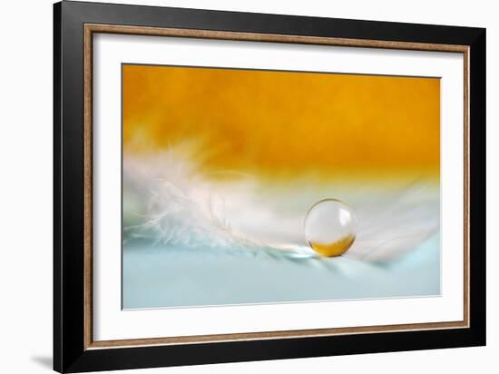 Feather Pearl-Heidi Westum-Framed Photographic Print