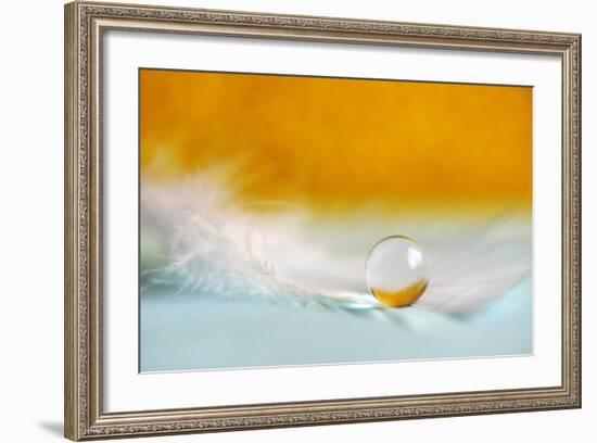 Feather Pearl-Heidi Westum-Framed Photographic Print