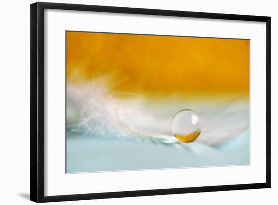 Feather Pearl-Heidi Westum-Framed Photographic Print