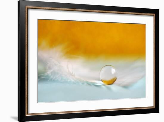 Feather Pearl-Heidi Westum-Framed Photographic Print