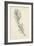 Feather Sketch I-Ethan Harper-Framed Art Print