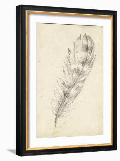 Feather Sketch II-Ethan Harper-Framed Art Print