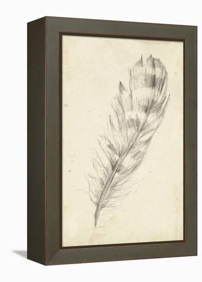 Feather Sketch II-Ethan Harper-Framed Stretched Canvas