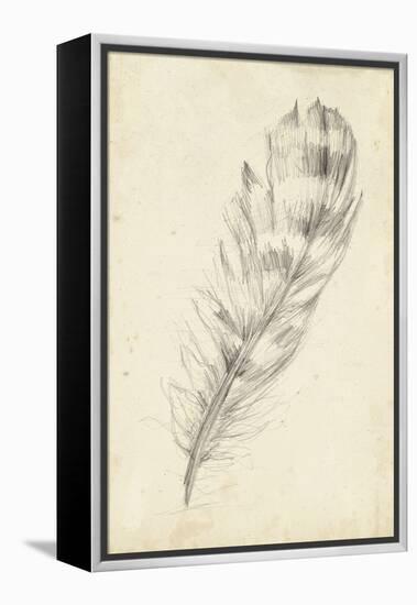 Feather Sketch II-Ethan Harper-Framed Stretched Canvas