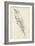 Feather Sketch III-Ethan Harper-Framed Art Print