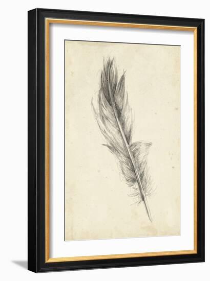 Feather Sketch IV-Ethan Harper-Framed Art Print