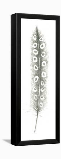 Feather Sketches VII-Avery Tillmon-Framed Stretched Canvas