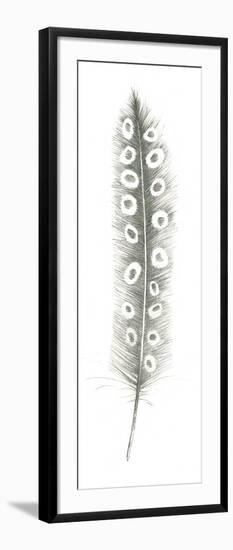 Feather Sketches VII-Avery Tillmon-Framed Art Print