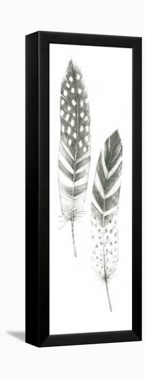 Feather Sketches VIII-Avery Tillmon-Framed Stretched Canvas