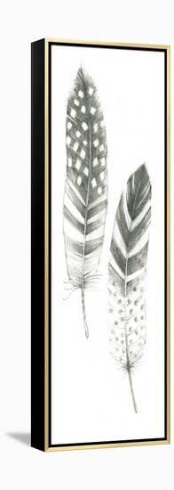 Feather Sketches VIII-Avery Tillmon-Framed Stretched Canvas