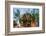 Feather Star on Reef Roof, Comanthina Schlegeli, Marovo Lagoon, the Solomon Islands-Reinhard Dirscherl-Framed Photographic Print