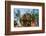 Feather Star on Reef Roof, Comanthina Schlegeli, Marovo Lagoon, the Solomon Islands-Reinhard Dirscherl-Framed Photographic Print