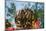 Feather Star on Reef Roof, Comanthina Schlegeli, Marovo Lagoon, the Solomon Islands-Reinhard Dirscherl-Mounted Photographic Print