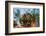 Feather Star on Reef Roof, Comanthina Schlegeli, Marovo Lagoon, the Solomon Islands-Reinhard Dirscherl-Framed Photographic Print