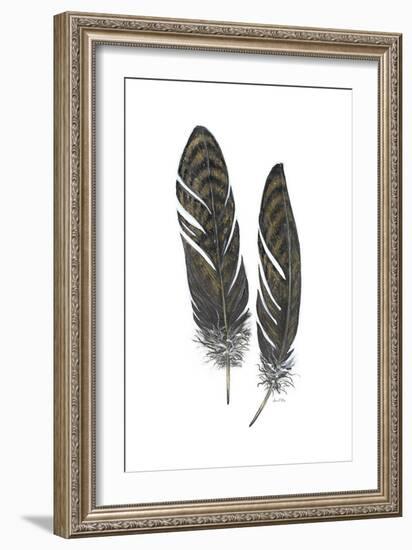 Feather Study 1-Arnie Fisk-Framed Art Print