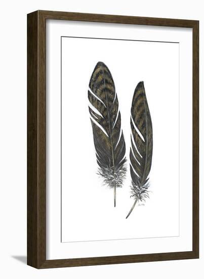 Feather Study 1-Arnie Fisk-Framed Art Print