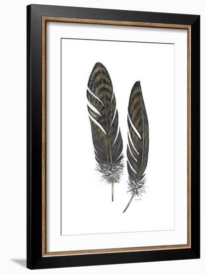 Feather Study 1-Arnie Fisk-Framed Art Print