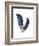 Feather Study 4-Arnie Fisk-Framed Art Print