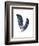 Feather Study 4-Arnie Fisk-Framed Art Print