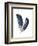 Feather Study 4-Arnie Fisk-Framed Art Print