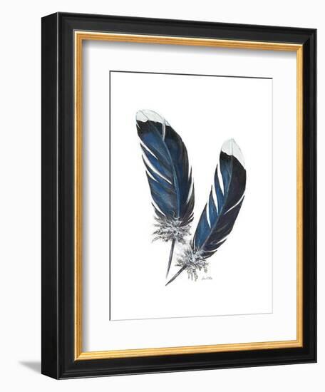 Feather Study 4-Arnie Fisk-Framed Art Print