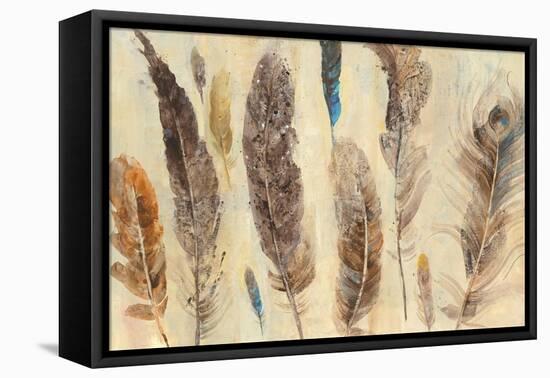 Feather Study-Albena Hristova-Framed Stretched Canvas