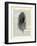 Feather-Marion Mcconaghie-Framed Giclee Print