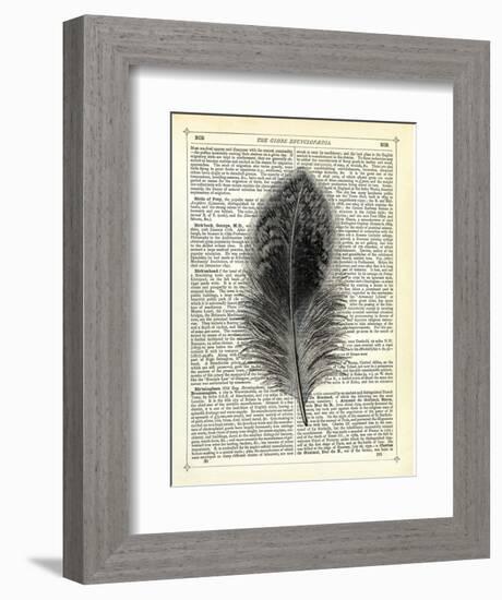Feather-Marion Mcconaghie-Framed Art Print