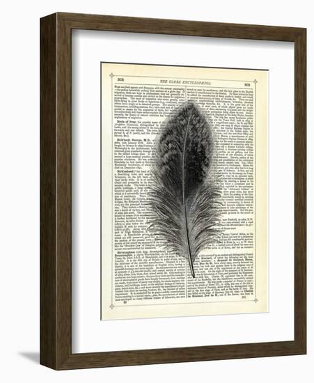 Feather-Marion Mcconaghie-Framed Art Print