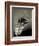 Feather-David Ridley-Framed Photographic Print