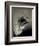 Feather-David Ridley-Framed Photographic Print