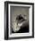 Feather-David Ridley-Framed Photographic Print