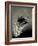 Feather-David Ridley-Framed Photographic Print